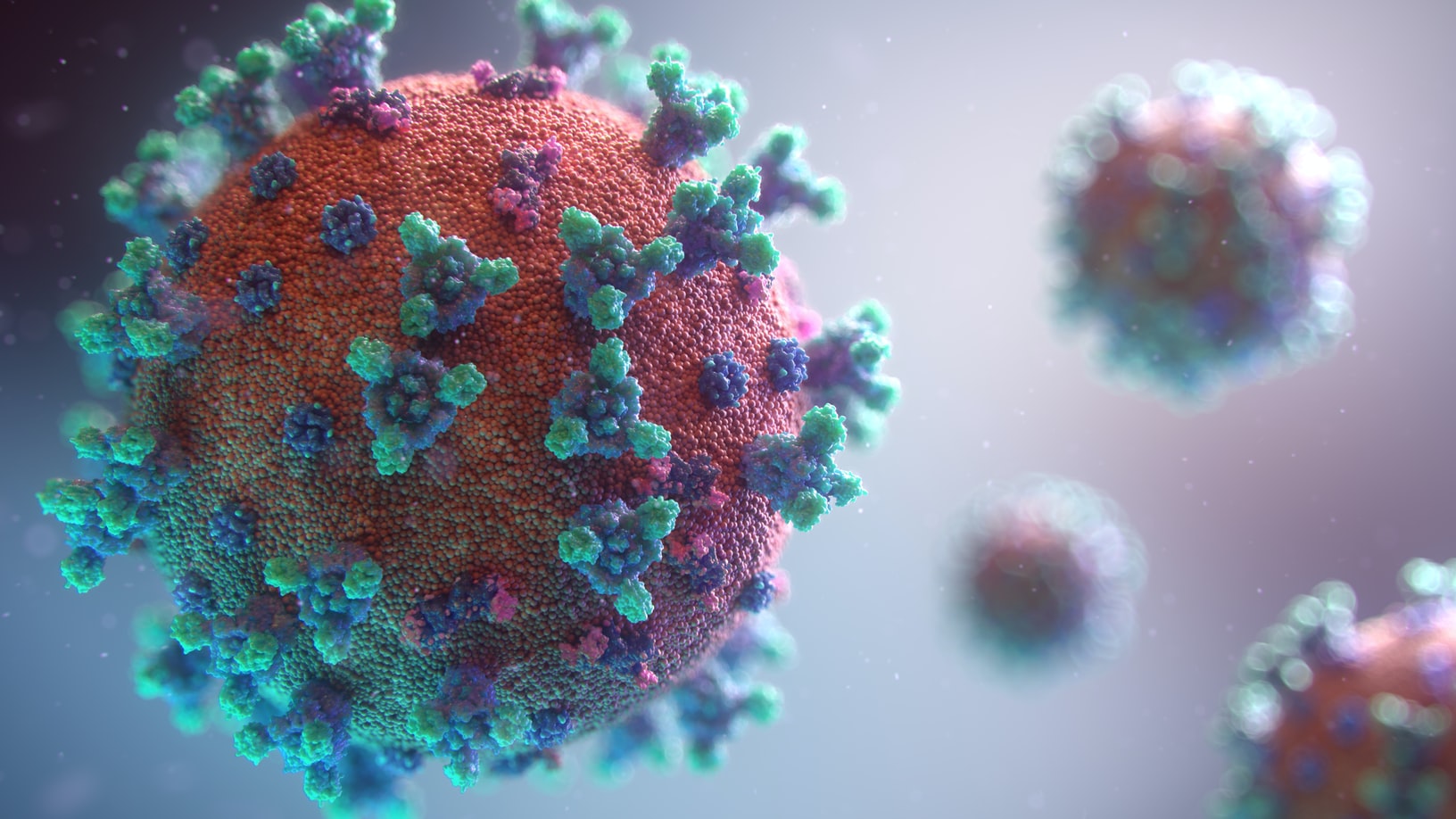 Site Lupus FAQ